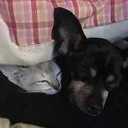 ひかり