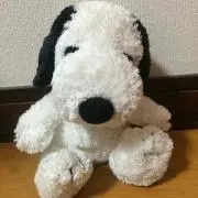 choco☆プロフの確認お願いしますの画像