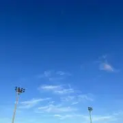 マロンの画像