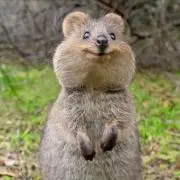 ゆーすけ