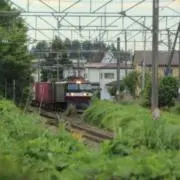 KURE 556の画像