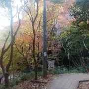 hamonbeatの画像