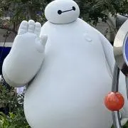 こっこの画像