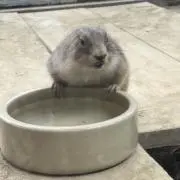 Mの画像