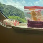 saIsaI