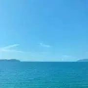✌︎あん♡ʾʾフォロー割中の画像