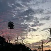 あずずの画像