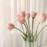 minaの画像
