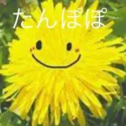 たんぽぽの画像