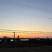 misoの画像