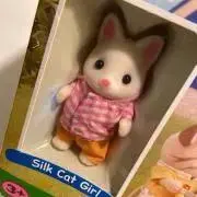 尾張の画像