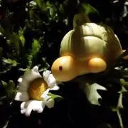 かめろん