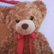 くまちゃん❣️即日発送！即購入大歓迎！の画像
