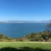 ひかりの画像