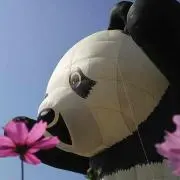 もも