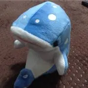ごんごんの画像
