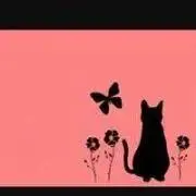 ミニミニの画像