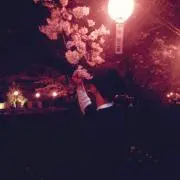 。クレラの画像