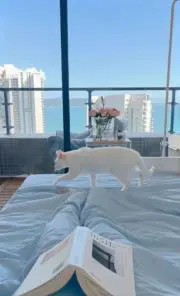 ウィンちゃんの公設第1秘書の画像