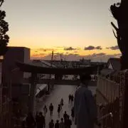 81.の画像