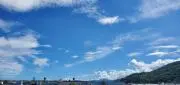 あおままの画像