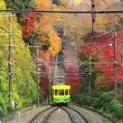 ミライ༆の画像