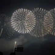 HANABIの画像