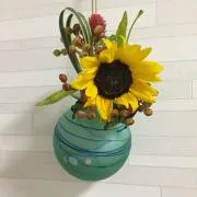 あおの画像