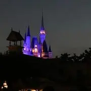 なお0803の画像