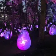 とろろ