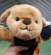 Kontaの画像
