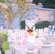 saの画像