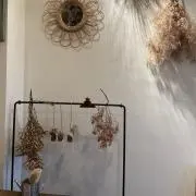 ゆず