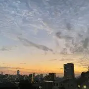 a__no28