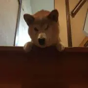りん