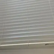 はると