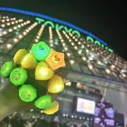 たこの画像
