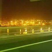 Lingoの画像