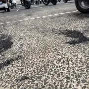 せいやっすの画像