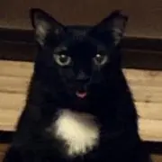 ひろごん