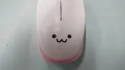 本生
