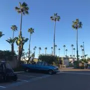 cali.loveの画像
