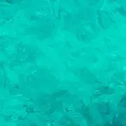 米ちゃん
