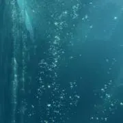 uaの画像