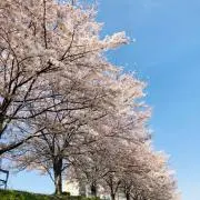 totteの画像