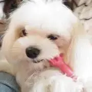 ミリヤの画像