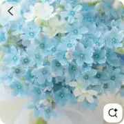 yuk★超メルカり市SALEプロフ見てねの画像