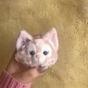 ももの画像