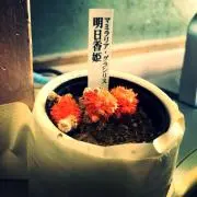keenの画像