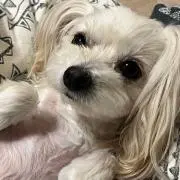 みろん
